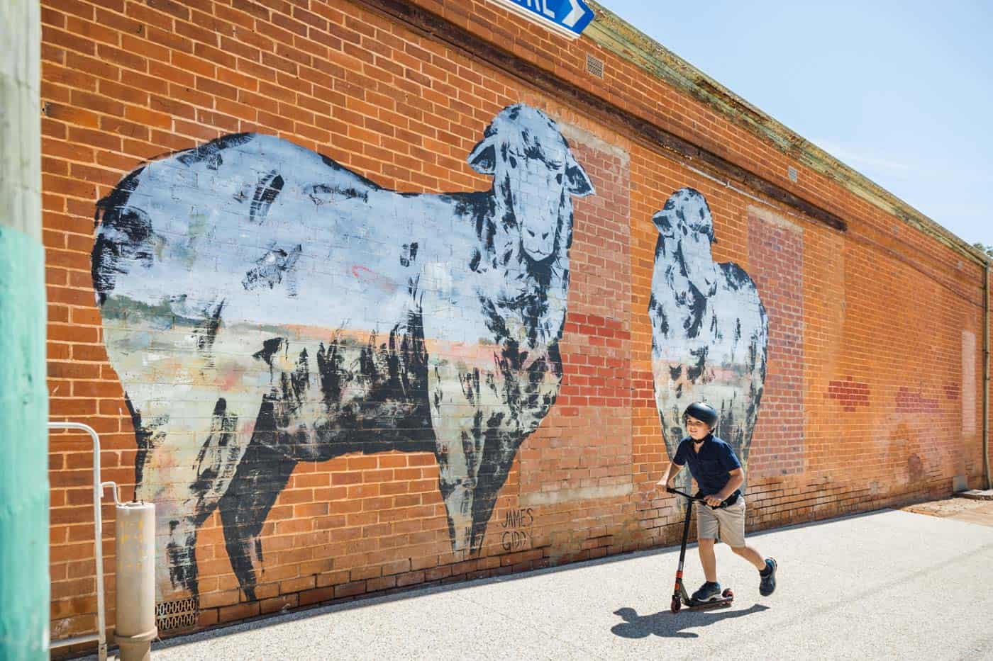 A young boy riding on a scooter in front of a brick building with a mural of 2 sheep in Beverley