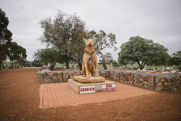 Statue of dog at Dog Cemetery in Corrigin